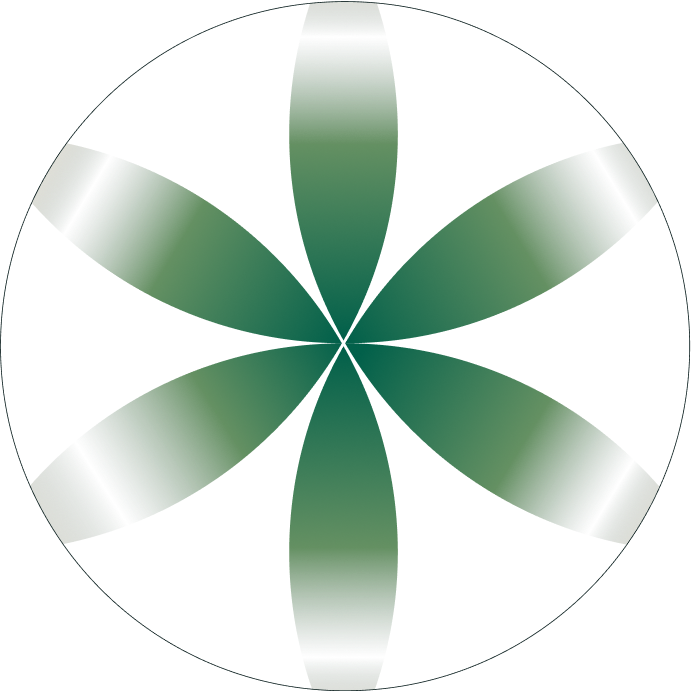 flower minasolve icon